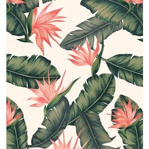 Meet your Posher, Addison